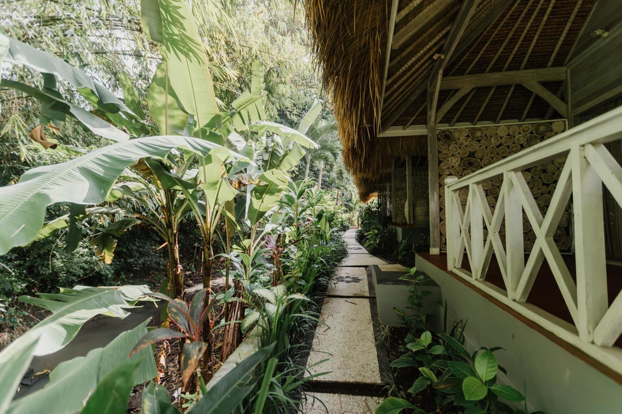 Maylie Bali Villa & Bungalows Canggu Kültér fotó